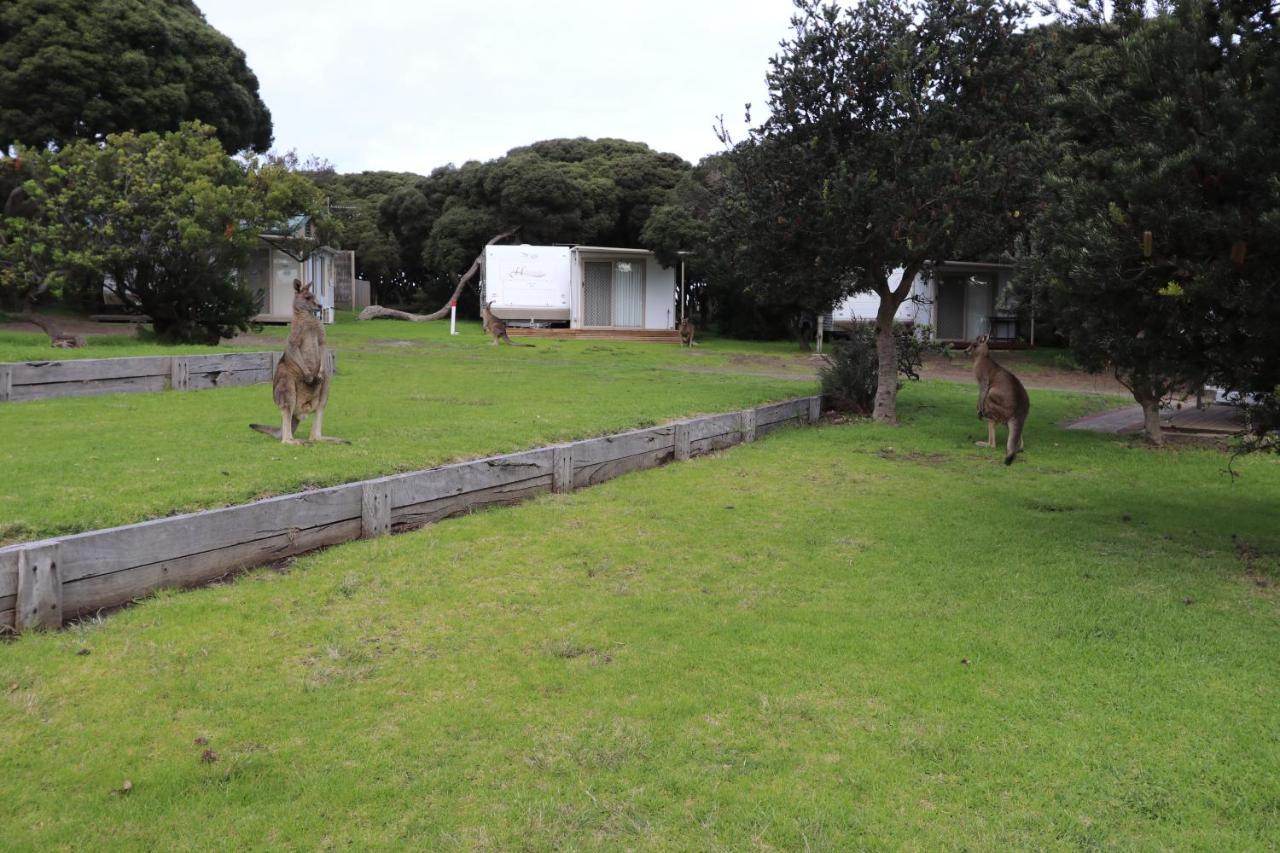 Anglesea Family Caravan Park Exterior photo